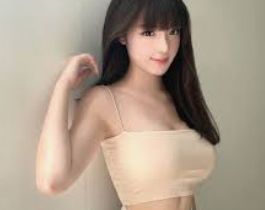 公司简介